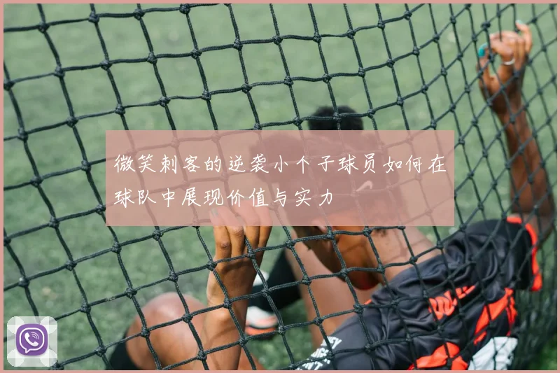 微笑刺客的逆袭小个子球员如何在球队中展现价值与实力