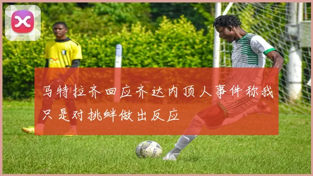 马特拉齐回应齐达内顶人事件称我只是对挑衅做出反应