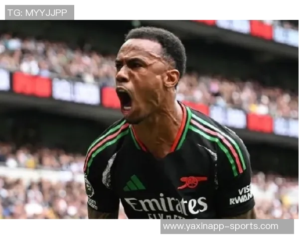 英超前十轮零封数据分析拉亚和加布表现突出萨利巴廷伯波普紧随其后